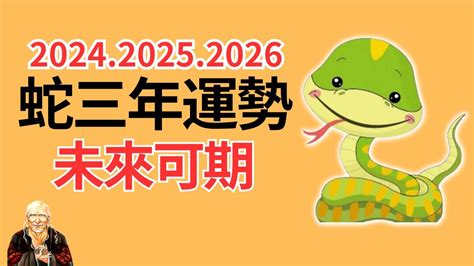 2025 蛇|属蛇2025年运程 属蛇运势2025年运势详解